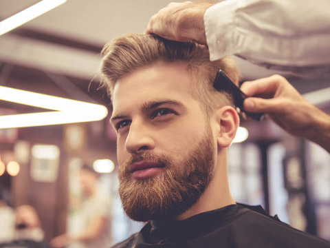 Corte